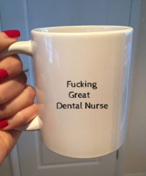 Fkin great dental nurse| funny mug gift for nurse - 15 oz