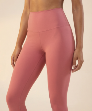 CoreFit Performance Legging in Dry Rose