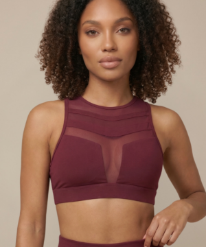 Mesh Panel High-Neck Strappy Sports Bra in Garnet